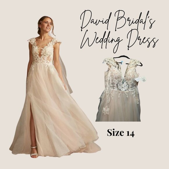 David’s Bridal Illusion Cap Sleeve Lace Wedding Dress Size 14 Ivory/Cashmere - Picture 1 of 16